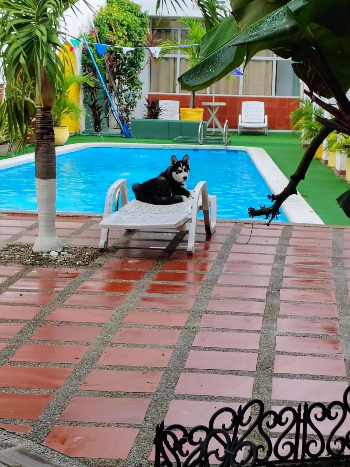 The Chill in Mansion Hostel Santa Marta Esterno foto